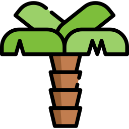 Palm icon