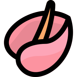 Anthurium icon