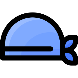 Head band icon