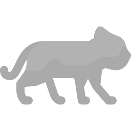 Panther icon