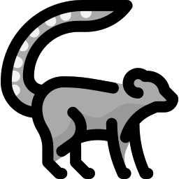 lemur icon