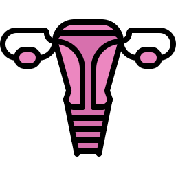 Uterus icon