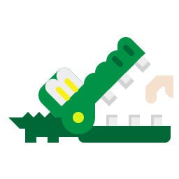 Crocodile icon