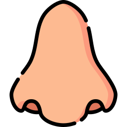 Nose icon