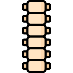 Позвоночник иконка
