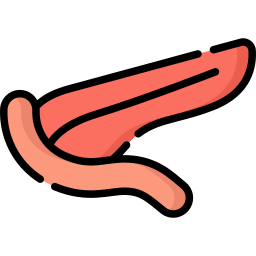 pankreas icon