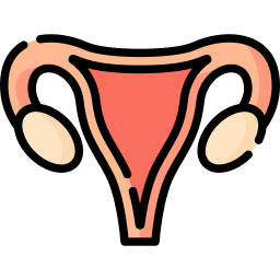 Uterus icon