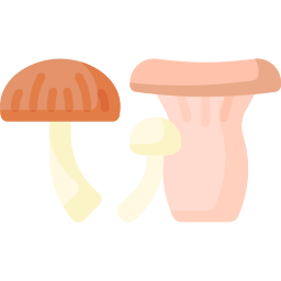 paddestoelen icoon