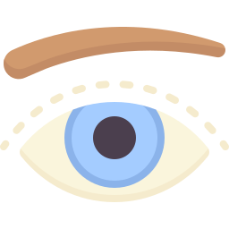 Eye icon