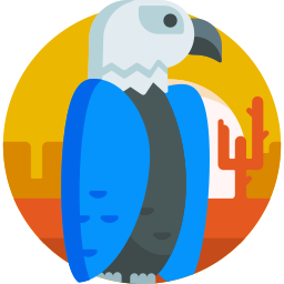 adler icon