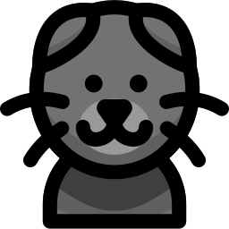 Scottish fold cat icon