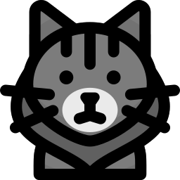 Maine coon cat icon