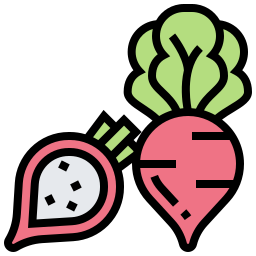 Radish icon