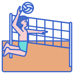 volleybal icoon