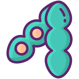 Soyabean icon