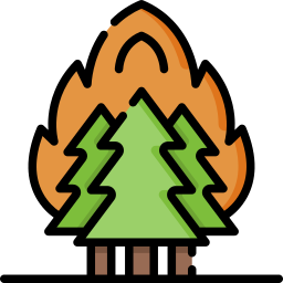 Fire icon