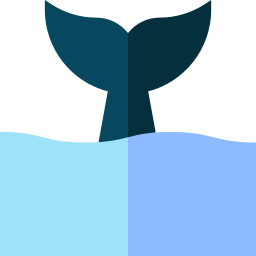 Whale icon