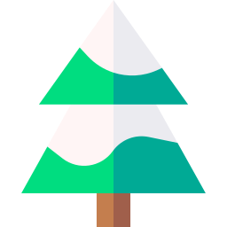 Fir icon