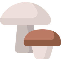 Mushrooms icon