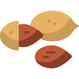 Almonds icon