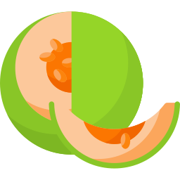 Melon icon