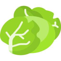 Cabbage icon