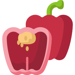 Bell pepper icon