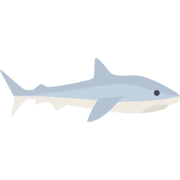 requin Icône