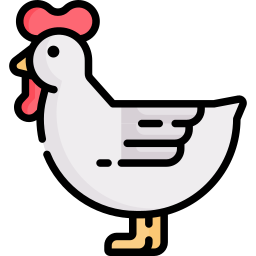 poule Icône