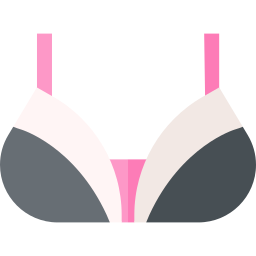 Bra icon