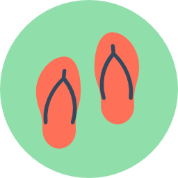 Flip flops icon