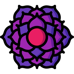 Chakra icon