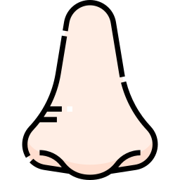 Nose icon