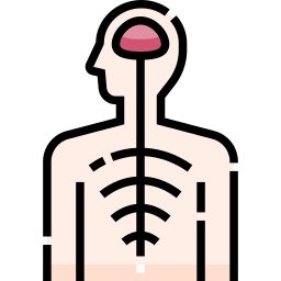 sistema nervoso icona