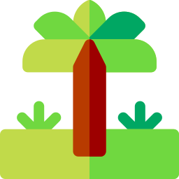 Palm tree icon