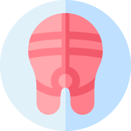 Salmon icon