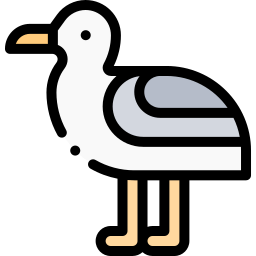 möwe icon