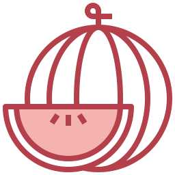 wassermelone icon