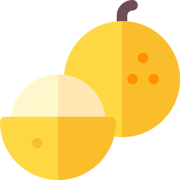 Lychee icon