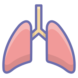 Lungs icon