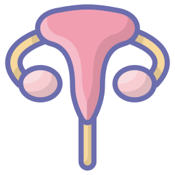 Uterus icon