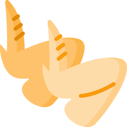 Chicken wings icon