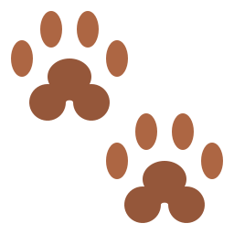 Paws icon