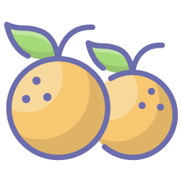 Oranges icon