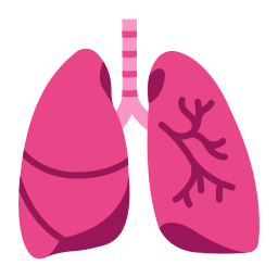 Lung icon