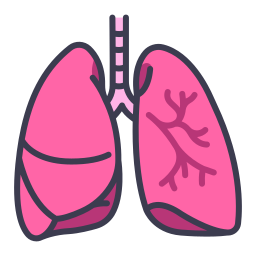 Lung icon