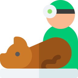 veterinär icon