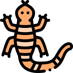 Lizard icon