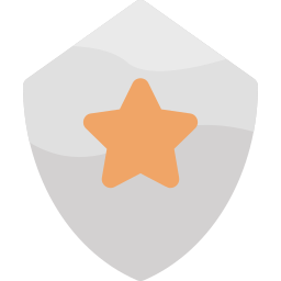 Shield icon