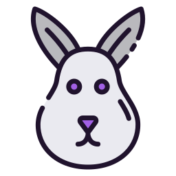 lapin Icône